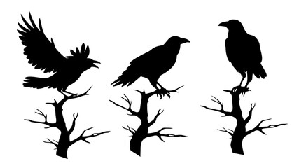 set of raven sitting on branch silhouette