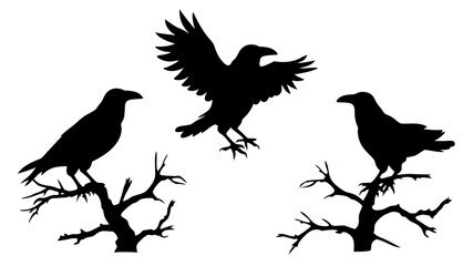 set of raven sitting on branch silhouette
