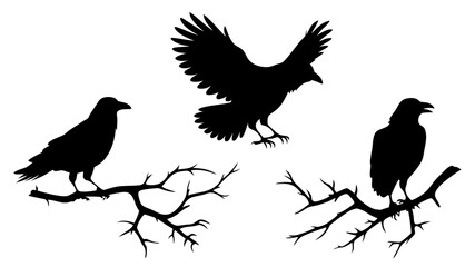 set of raven sitting on branch silhouette