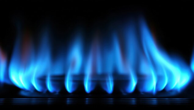 A row of blue flames burns brightly from a gas stove burner in a dark setting.