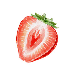 strawberry watercolour illustration