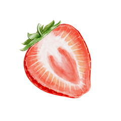 strawberry watercolour illustration