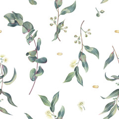 Seamless pattern of eucalyptus branches with leaves, flowers and shoots, essential oil drops, watercolor on white. Botanical pattern of medicinal herbs hand drawn for print on packaging, and textile