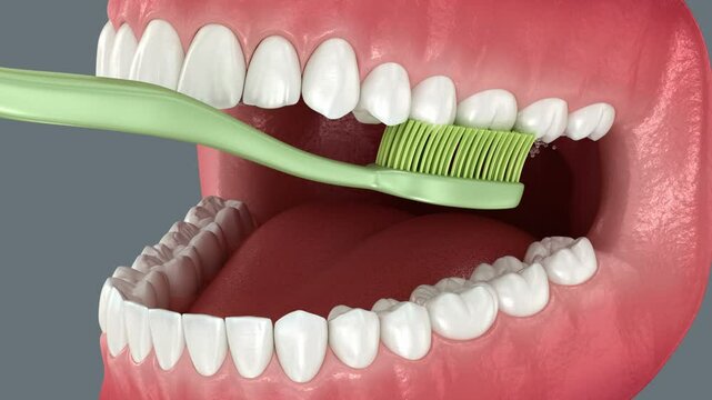 Toothbrush cleaning teeth. Medically accurate 3D Animation of oral hygiene