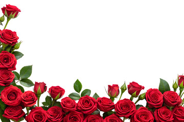 a decorative border featuring vibrant red roses in full bloom, arranged at the bottom of the image, transparent background