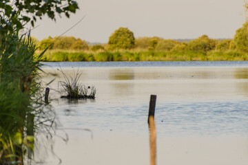 Paysage du parc naturel r&eacute;gional de Bri&egrave;re, lieu touristique incontournable pr&egrave;s de Saint-Nazaire en France.