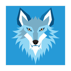 Frost Covered Coyote Head