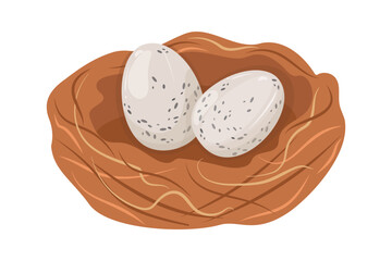 Two quail eggs lying in nest. Vector isolated texture vector drawing clutch of bird eggs. White small eggs with dark spots in a house made of twigs and grass