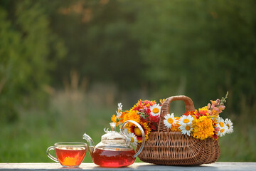 glass teapot, cup with herbal tea, flowers and useful herbs in wicker basket on table outdoor, nature background. healthy beverage, Flavor herbal tea from organic natural ingredients.