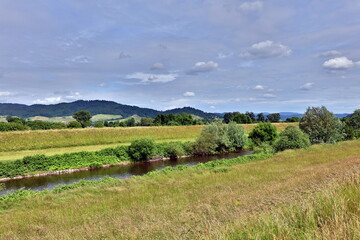 Obraz premium Frühlingslandschaft an der Kinzig in Offenburg