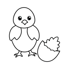 Little Chick With Eggshell