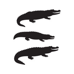 crocodile isolated on white background silhouette 