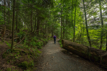 Senior woman hiking a BC urban forest trail.