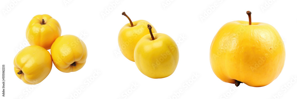 Poster collection of three vibrant yellow quinces on a transparent background, showcasing different arrange