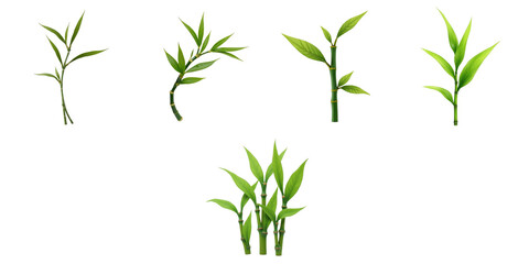 Fototapeta premium Collection of Lush Green Bamboo Stems and Leaves Displayed on a transparent Background Showcasing Various Heights and Shapes for Decorative or Graphic Use