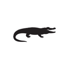 crocodile on white background silhouette 