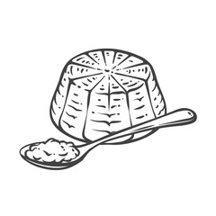 Ricotta cheese in traditional mold form with a spoonful of soft curds. Hand-drawn in vintage engraving style. Vector illustration for dairy branding, recipes, or food packaging
