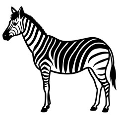 Fototapeta premium Zebra Side View with Subtle Stripes in Negative Space