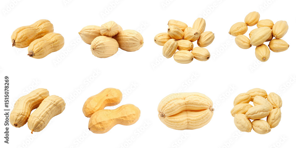 Aufkleber variety of raw peanuts displayed on a transparent background featuring whole shelled, split, and gro