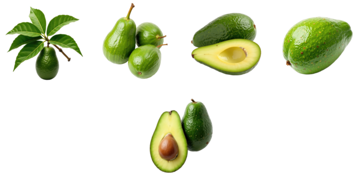 Collection of fresh avocados featuring whole fruits, a halved avocado with a seed, and a leafy branch on a transparent background for clear visibility.