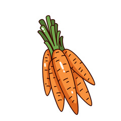 Orange carrots tied in bunch with green tops. Hand-drawn style with bold outlines and playful look. Groovy cartoon doodle for food designs, labels or farm-themed graphics. Vector illustration.