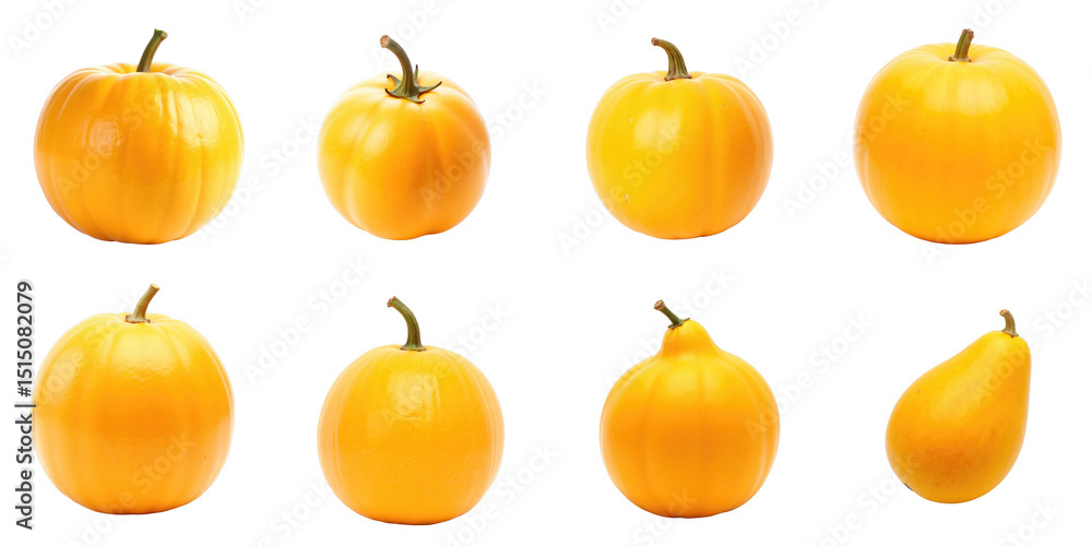 Poster varied yellow pumpkin collection displaying eight distinct shapes and sizes featuring smooth texture