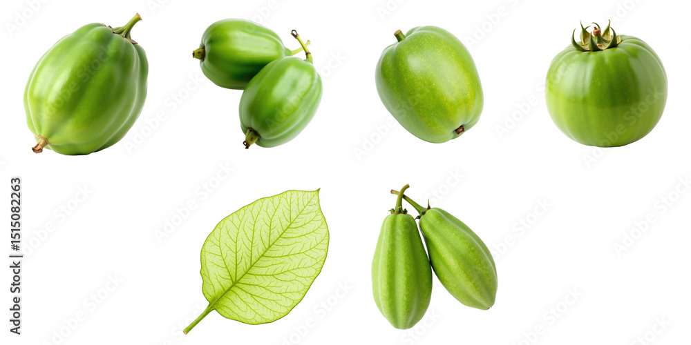 Aufkleber collection of green vegetables and leaf on transparent background showcasing various shapes and size