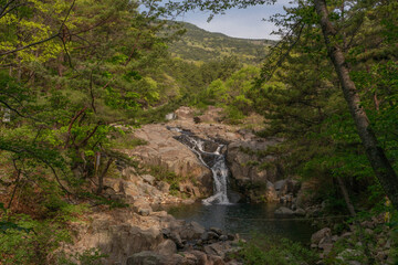 Jangsan Waterfall tranquil flow among rocky cliffs, Busan, South Korea, with lush greenery, no person