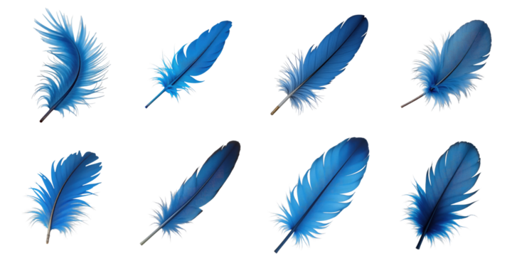 Collection of Various Blue Feathers Displayed on a transparent Background Featuring Different Shapes and Textures for Creative Design Use