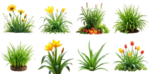 Collection of Various Colorful Flowers and Grasses Including Yellow Daisies, Tulips, and Lush Greenery on a transparent Background Ideal for Graphic Design and Floriculture Themes