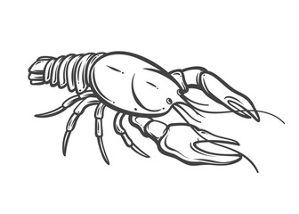 Crayfish outline drawing with big claws in hand drawn style. Crayfish as classic pub food and seafood appetizer. Great for beer snacks menu or food packaging. Vector illustration.