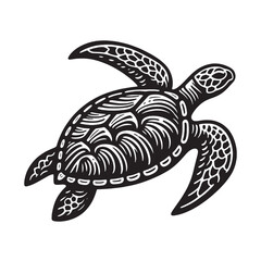Fototapeta premium Turtle