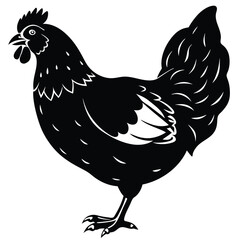 Black Silhouette Hen with Berry &ndash; Farm Animal Vector Art,
Chicken Feeding Scene with Nest &ndash; Vintage Farm Illustration,
Classic Hen Silhouette &ndash; Retro Poultry Artwork Design.