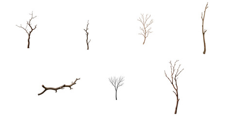 Collection of Transparent Tree Branches and Twigs on transparent Background Featuring Various Shapes and Sizes Ideal for Digital Design and Artistic Projects