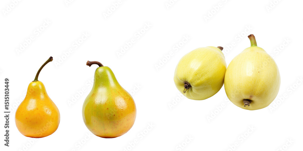 Poster collection of fresh pears featuring varied colors and shapes on a transparent background with two di