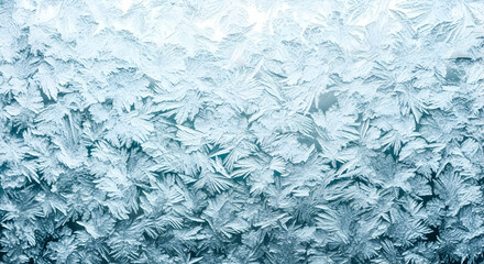 Fototapeta premium Frozen Fractals Detailed Ice Crystal Formations Against Glass Surface