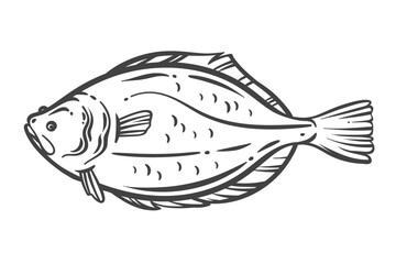 Flatfish or halibut outline drawing in hand drawn doodle style. Monochrome seafood image with wide oval body and fins for culinary use, packaging, or restaurant design. Vector illustration.