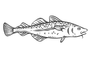 Cod fish outline drawing in vintage doodle style, side view with spotted body and fins. Edible seafood for restaurant menus, fish market labels, or recipes. Vector illustration.