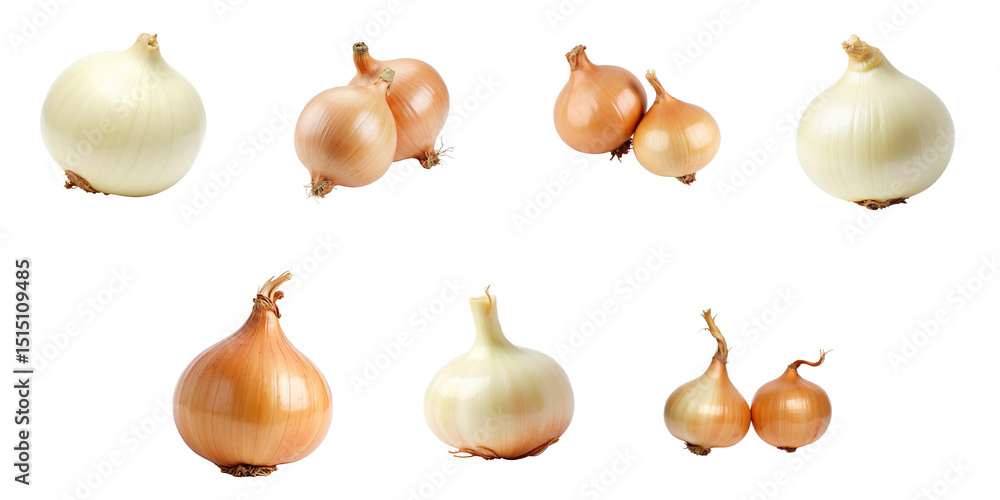 Aufkleber variety of onions in transparent format featuring white and yellow onions displayed on a transparent