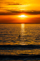 Silhouette of a man paddleboarding on the ocean at sunset near the beach of La Parée in...