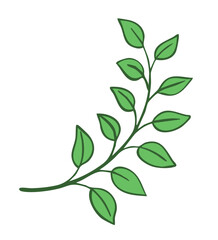 Green twig of rasteria or tree