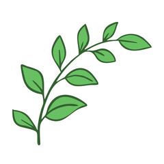 Naklejka premium Green twig of rasteria or tree. Decorative element for design and decoration of cards, invitations and flyers. Vector art illustration isolated on white background. Outline style