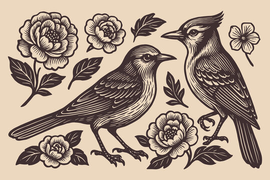 birds and flowers vintage engraving vector illustration