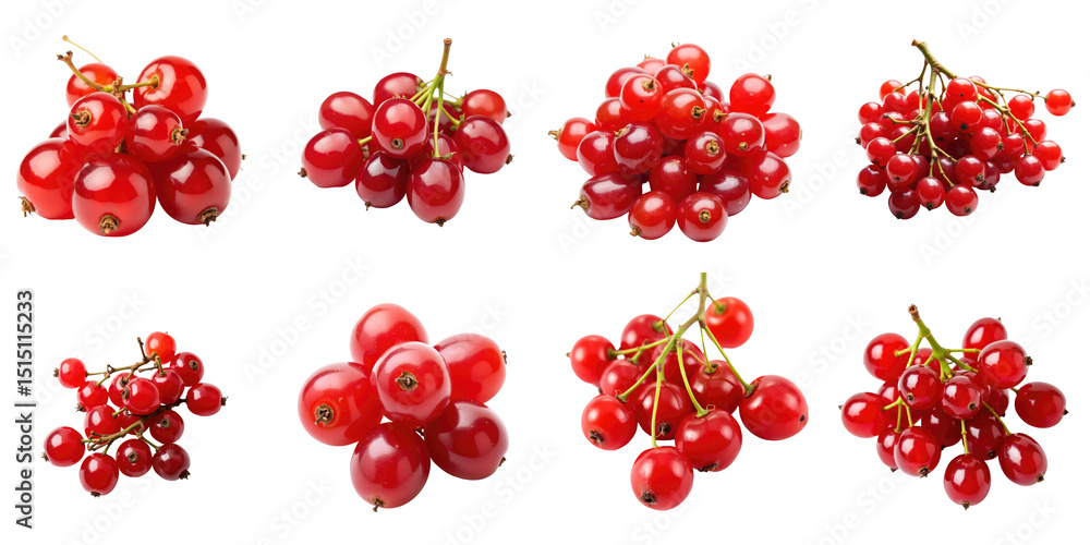 Aufkleber various clusters of bright red berries on a transparent background showcasing different groupings an