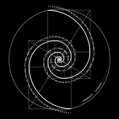 Fibonacci Sequence Spiral. Golden ratio. Geometric shapes Circles in golden proportion. Futuristic minimalist fashion design. Logo. Vector icon isolate on black background