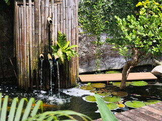 Serene pond complete with a beautiful waterfall and fish swimming gracefully