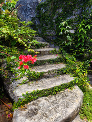 Stone staircase in a beautifully designed garden by an array of vibrant plants and colorful flowers