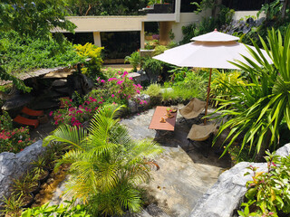 Serene pond complete with a beautiful waterfall and fish swimming gracefully