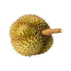 Durian, cutout, full depth of field.