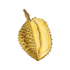Durian, cutout, full depth of field.
